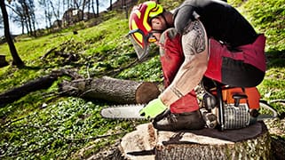 Chainsaw Safety Training (OSHA)